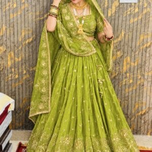 Rajputana Shaan Heavy Designer Poshak