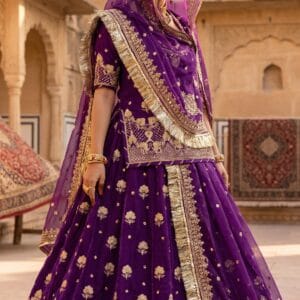 Rajwadi Crepe Silk Poshak